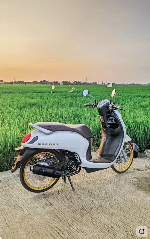 Honda Scoopy 110 — photo 1 of 1
