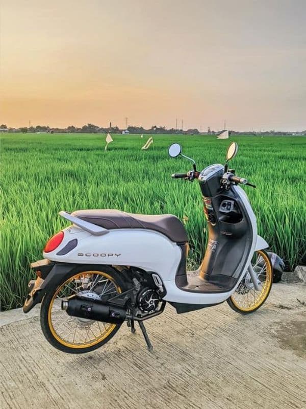 Honda Scoopy 110
